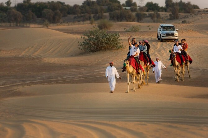 Long camel ride and falcon experience