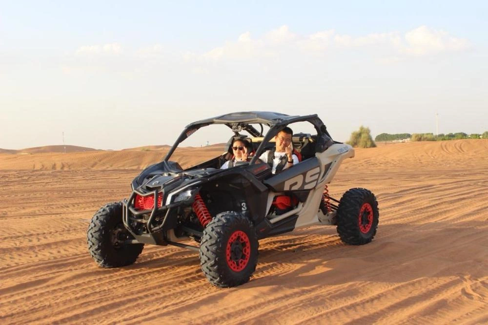 Safari guests